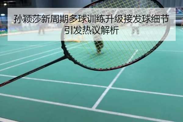 孙颖莎新周期多球训练升级接发球细节引发热议解析