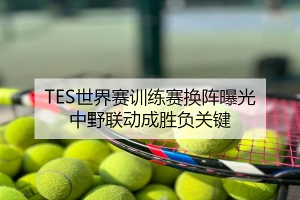 TES世界赛训练赛换阵曝光 中野联动成胜负关键